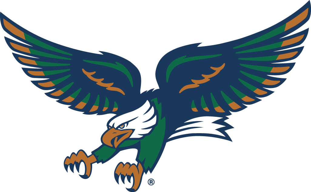 North Texas Mean Green 1995-2004 Alternate Logo diy fabric transfer